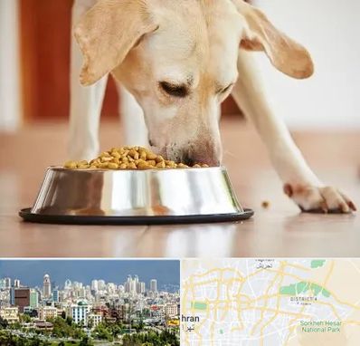 فروشگاه غذای سگ در شرق تهران 