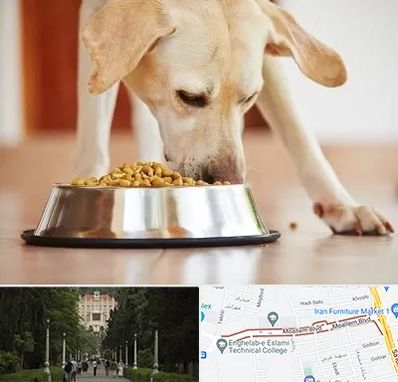 فروشگاه غذای سگ در بلوار معلم رشت