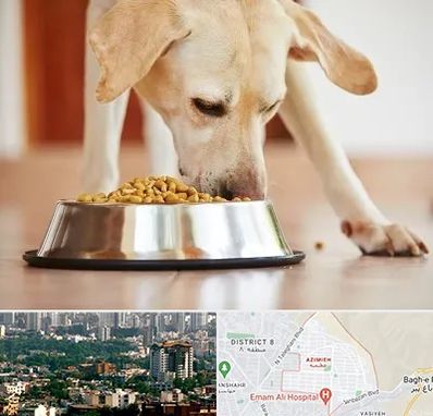 فروشگاه غذای سگ در عظیمیه کرج