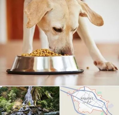 فروشگاه غذای سگ در الیگودرز