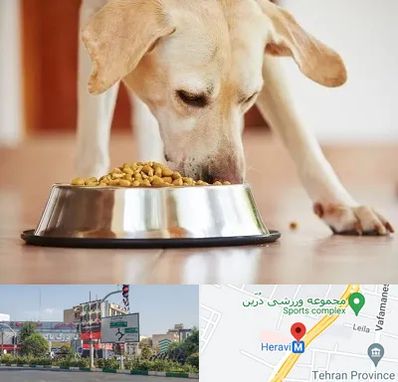 فروشگاه غذای سگ در هروی