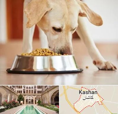 فروشگاه غذای سگ در کاشان