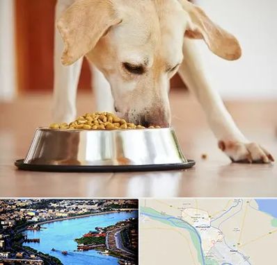 فروشگاه غذای سگ در خرمشهر