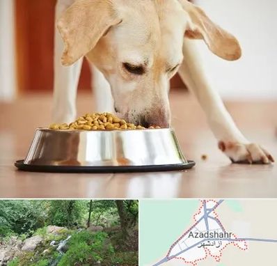 فروشگاه غذای سگ در آزادشهر