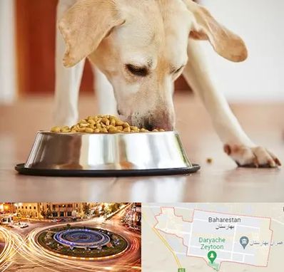 فروشگاه غذای سگ در بهارستان