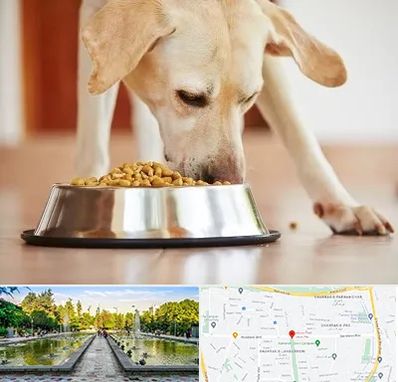 فروشگاه غذای سگ در سرسبز