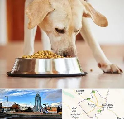 فروشگاه غذای سگ در تایباد