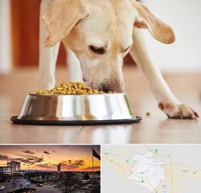 فروشگاه غذای سگ در قوچان