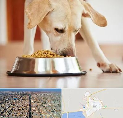 فروشگاه غذای سگ در بندر ماهشهر