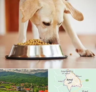 فروشگاه غذای سگ در آمل