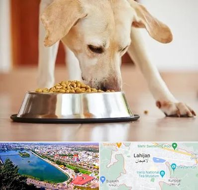 فروشگاه غذای سگ در لاهیجان