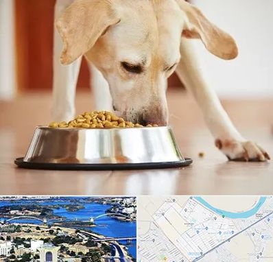 فروشگاه غذای سگ در کوروش اهواز