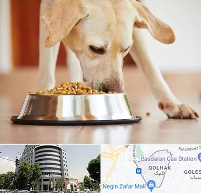 فروشگاه غذای سگ در قلهک