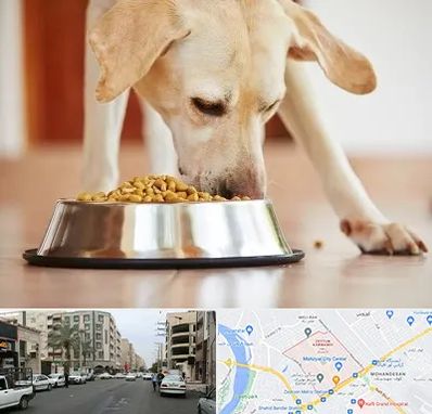 فروشگاه غذای سگ در زیتون کارمندی اهواز