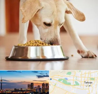 فروشگاه غذای سگ در غرب تهران 