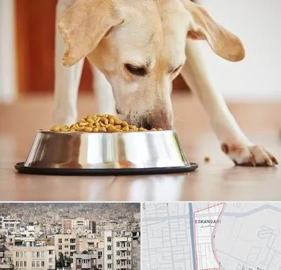 فروشگاه غذای سگ در اسکندری