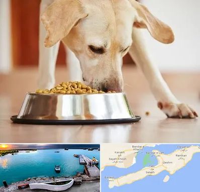 فروشگاه غذای سگ در قشم