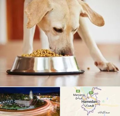 فروشگاه غذای سگ در همدان