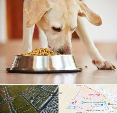 فروشگاه غذای سگ در الهیه مشهد