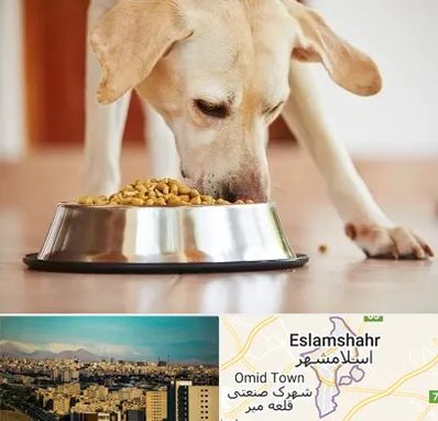 فروشگاه غذای سگ در اسلامشهر