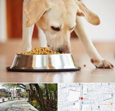 فروشگاه غذای سگ در خیابان توحید اصفهان