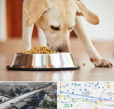 فروشگاه غذای سگ در فرجام