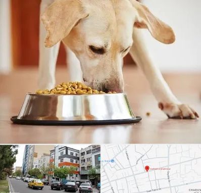 فروشگاه غذای سگ در هفده شهریور تبریز