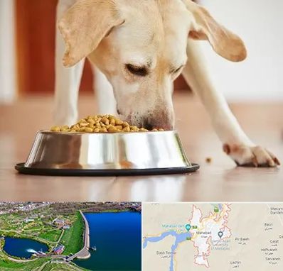 فروشگاه غذای سگ در مهاباد