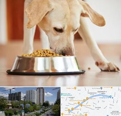 فروشگاه غذای سگ در اندرزگو