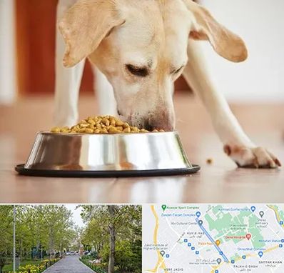 فروشگاه غذای سگ در قدوسی غربی شیراز