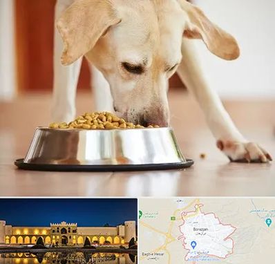 فروشگاه غذای سگ در برازجان