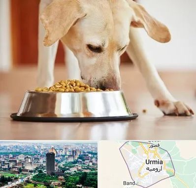 فروشگاه غذای سگ در ارومیه