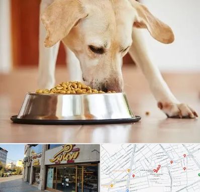 فروشگاه غذای سگ در عطاران قم