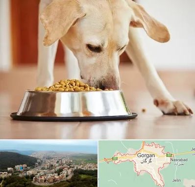 فروشگاه غذای سگ در گرگان