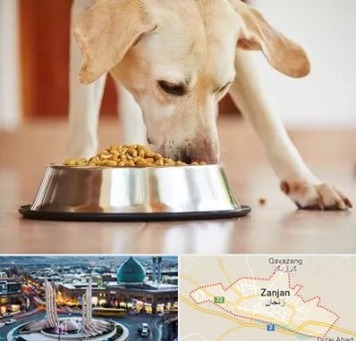 فروشگاه غذای سگ در زنجان