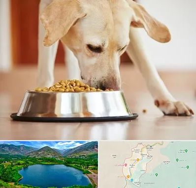 فروشگاه غذای سگ در رودبار