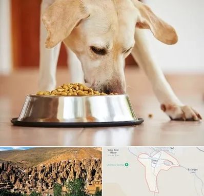 فروشگاه غذای سگ در اسکو