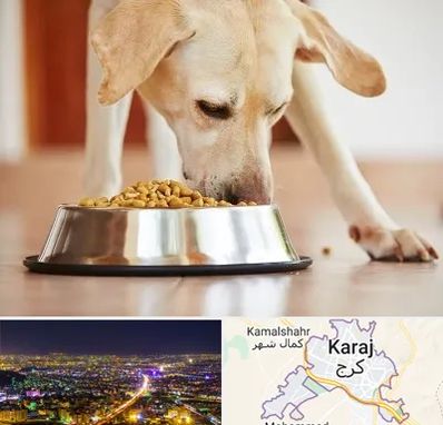 فروشگاه غذای سگ در کرج