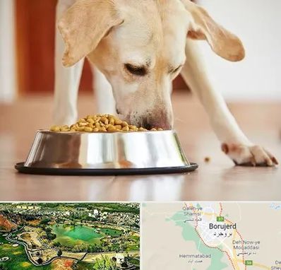 فروشگاه غذای سگ در بروجرد