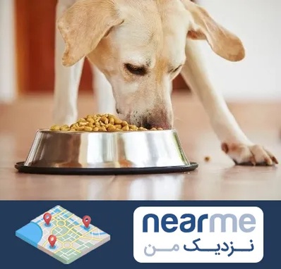 فروشگاه غذای سگ در نزدیک من
