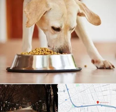 فروشگاه غذای سگ در ابوریحان تبریز