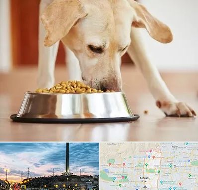 فروشگاه غذای سگ در منطقه 2 تهران