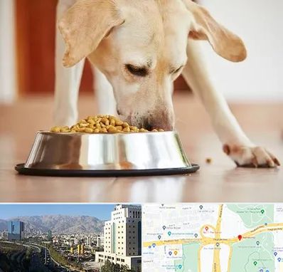 فروشگاه غذای سگ در حقانی