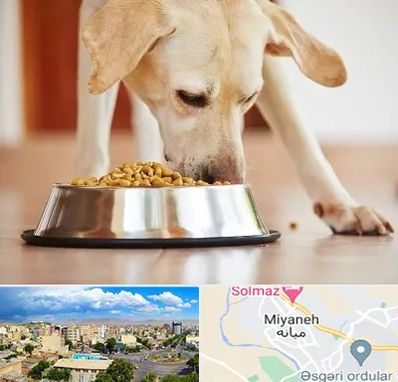 فروشگاه غذای سگ در میانه