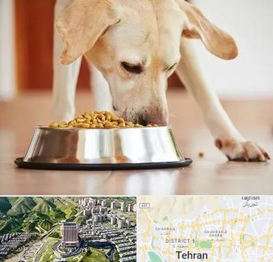 فروشگاه غذای سگ در شمال تهران
