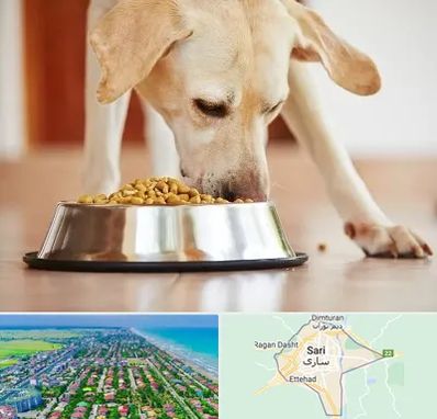 فروشگاه غذای سگ در ساری