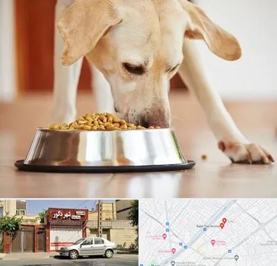 فروشگاه غذای سگ در باجک قم