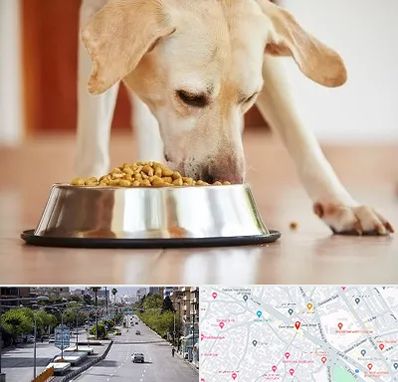 فروشگاه غذای سگ در خیابان زند شیراز