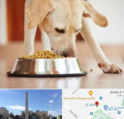 فروشگاه غذای سگ در فلکه گاز شیراز