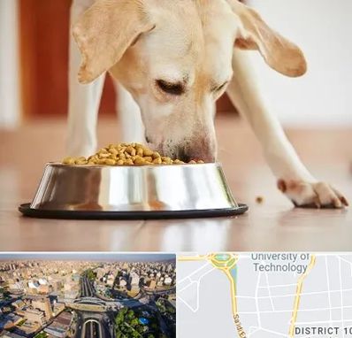 فروشگاه غذای سگ در استاد معین 